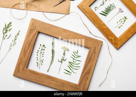 Flache Laienzusammensetzung mit Rahmen von wilden getrockneten Wiesenblumen auf weißem Hintergrund Stockfoto