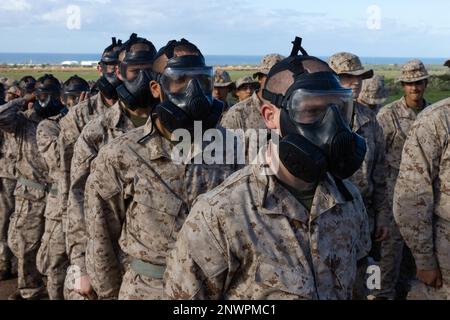 USA Marinekorps-Rekruten der Delta-Kompanie, 1. Rekruten-Ausbildungs-Bataillon, bereiten Sie sich auf den Eintritt in die Vertrauenskammer im Marinekorps-Basislager Pendleton vor, Kalifornien, 18. Januar 2023. Die Vertrauenskammer trainiert, wie man die M40-Gasmaske richtig verwendet und auf potenzielle chemische und biologische Bedrohungen reagiert. Stockfoto