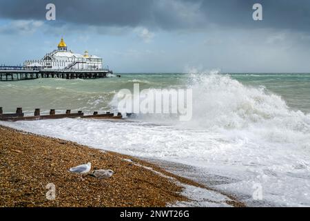 EASTBOURNE, East Sussex/UK - 21. Oktober: Ende des Sturms Brian Racing Vergangenheit Eastbourne Pier in East Sussex am 21. Oktober 2017 Stockfoto