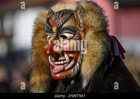 Narren-Gilde aus Horb am Neckar bei der Großen Karnevalsparade, Karnevalsparade, Oberkirch, Ortenaukreis, Baden-Württemberg, Deutschland Stockfoto