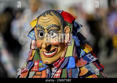Schantle-Narren-Gilde von Horb am Neckar auf der Großen Karnevalsparade, Karnevalsparade, Oberkirch, Ortenaukreis, Baden-Württemberg, Deutschland Stockfoto