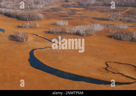 (DATEI) Luftbild aufgenommen am 20. Oktober 2015 zeigt gewundene Flüsse und goldene Wälder im Feuchtgebiet der Großregion Khingan im Nordosten Chinas Heilongjian Stockfoto