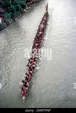 Snake Boat (Chundan Vallam) Rennen in Payippad bei Haripad Kerala, Indien, Asien Stockfoto