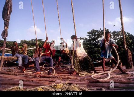 Betrieb der chinesischen Fischernetze oder Cheena vala in Fort Kochi oder Cochin, Kerala, Indien, Asien Stockfoto