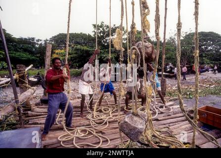 Betrieb der chinesischen Fischernetze oder Cheena vala in Fort Kochi oder Cochin, Kerala, Indien, Asien Stockfoto