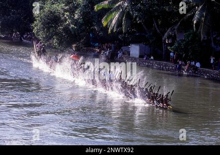 Snake Boat Racing in Payippad bei Haripad, Kerala, Südindien, Indien, Asien Stockfoto