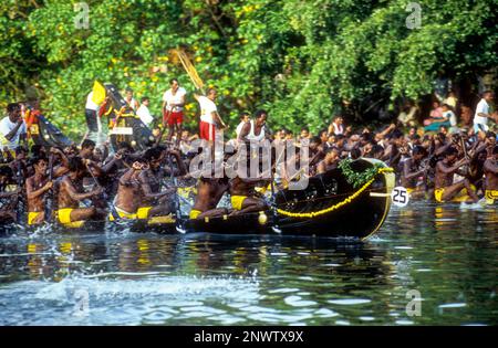 Snake Boat Chundan Vallam Racing in Payippad bei Haripad, Kerala, Südindien, Indien, Asien Stockfoto