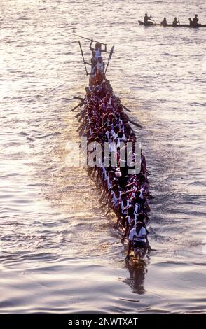 Schlangenbootrennen bei Payippad in der Nähe von Haripad, Kerala, Südindien, Indien, Asien aus der Vogelperspektive Stockfoto