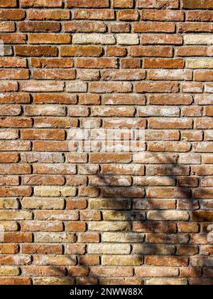 An sonnigen Tagen im Schatten der Bäume auf traditionellem Backsteinhintergrund. Grunge rötlich-braun, mit Kopierbereich. Leeres Poster Stockfoto