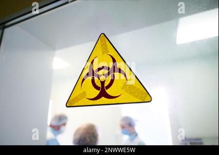 Warnschild „Biogefährdung“ auf durchsichtiger Labortür Stockfoto