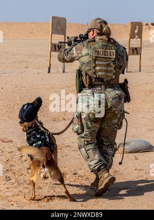 USA Air Force Staff Sergeant Jordan Courtney, 378. Expeditionary Security Forces Squadron K9 Handler, trainiert Mirco, ihren militärisch arbeitenden Hund, auf einem Schießstand auf dem Prince Sultan Air Base, Königreich Saudi-Arabien, 21. Januar 2023. K9 die Verteidiger und ihre Betreuer müssen gemeinsam im Umgang mit Feuerwaffen trainieren, um in stressigen realen Situationen eine sichere Interoperabilität zu gewährleisten. Stockfoto