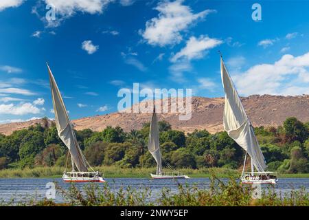 Wunderschöne Natur am Nil in Assuan, Ägypten Stockfoto