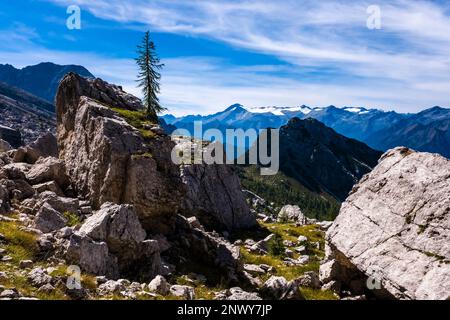 Landschaft auf dem Pfad zwischen der Berghütte Rifugio Francis Fox Tuckett und Passo del Groste, der Berggruppe Adamello in der Ferne. Stockfoto