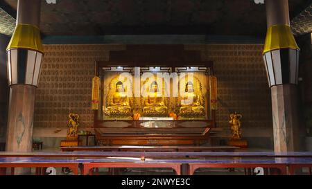 Drei Buddhas-Statuen im Chinesischen Tempel, Bodh Gaya, Bihar, Indien Stockfoto