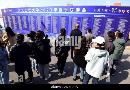 HANDAN, CHINA - 1. MÄRZ 2023 - Hochschulabsolventen suchen nach geeigneten Stellen in Handan, Provinz Hebei, China, 1. März 2023. Stockfoto