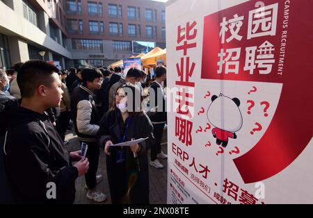 HANDAN, CHINA - 1. MÄRZ 2023 - Hochschulabsolventen kommunizieren mit Mitarbeitern von Unternehmen in Handan, Provinz Hebei, China, 1. März 2023. Stockfoto