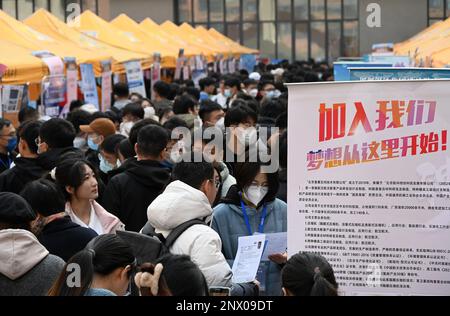 HANDAN, CHINA - 1. MÄRZ 2023 - Hochschulabsolventen suchen nach geeigneten Stellen in Handan, Provinz Hebei, China, 1. März 2023. Stockfoto