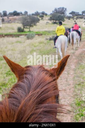 Reitstrecke durch Dehesa Contryside. Szene vom Pferd aus gesehen Stockfoto