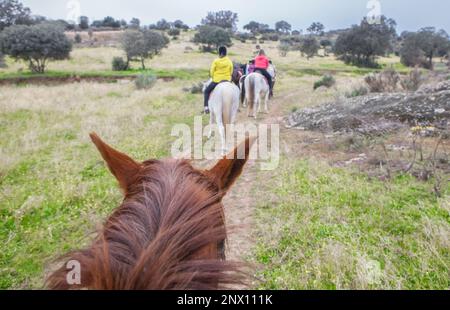 Reitstrecke durch Dehesa Contryside. Szene vom Pferd aus gesehen Stockfoto