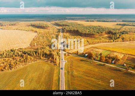 Blick Aus Der Vogelperspektive Auf Das Feld Und Die Landschaft Der Entwaldung Am Sommersonntag. Green Pine Forest In Der Entwaldungszone. Draufsicht Auf Feld Und Wald Stockfoto