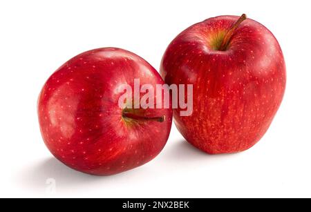 Zwei reife rote, köstliche Äpfel, isoliert auf weißem Hintergrund Stockfoto