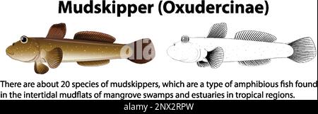 Mudskipper Movement Vector Konzeptdarstellung Stock Vektor