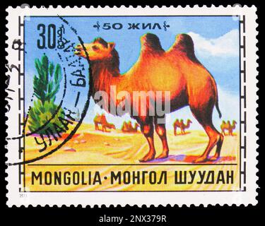 MOSKAU, RUSSLAND - 15. FEBRUAR 2023: Poststempel gedruckt in der Mongolei zeigt Bactrian Camel (Camelus bactrianus), Tierzuchtserie, circa 1971 Stockfoto