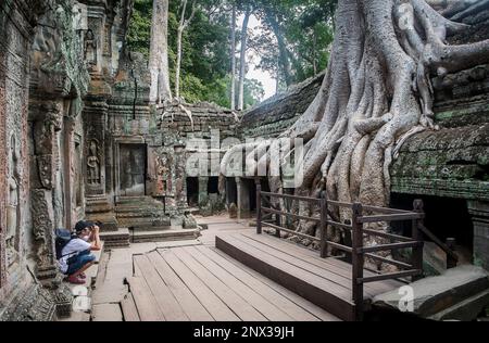 TA Prohm Tempel, Angkor Archäologischer Park, Siem Reap, Kambodscha Stockfoto