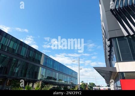 Tauranga Neuseeland - März 1 2023; Stadtstraße mit moderner Glasfassade Stockfoto