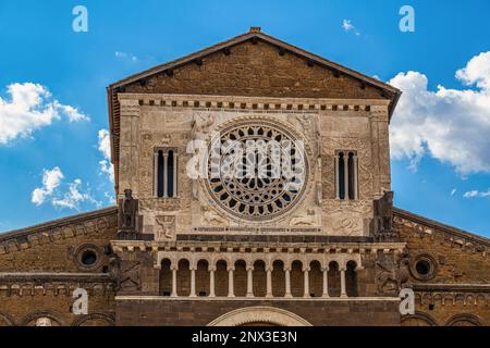 Architektonische Details des Fensters mit weißen Rosen und der Fassade der Basilika San Pietro in Toskana. Toskanien, Provinz Viterbo, Latium, Italien Stockfoto