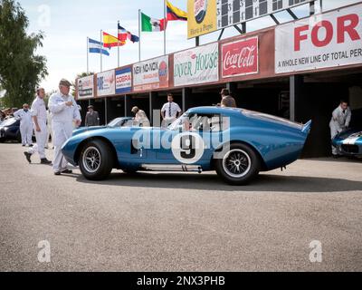 Shelby Daytona Coupe Goodwood Revival fährt rückwärts in die Gruben Stockfoto