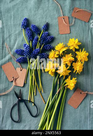 Draufsicht auf blaue Traubenhyazinthen und gelbe doppelte Narzissen auf einem türkisfarbenen Tischtuch für Frühlingsbouquet. Stillleben. Stockfoto