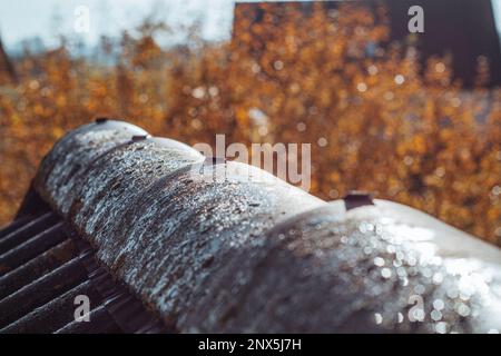 Tau fällt im Herbst auf das Dach Stockfoto