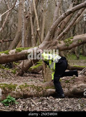 Ein Polizist der Metropolitan im Wald im Wild Park Naturschutzgebiet, nahe Moulsecoomb, Brighton, wo die dringende Suche weiterhin das vermisste Baby von Constance Marten und Mark Gordon findet. Das Paar wurde wegen grober Fahrlässigkeit am Dienstag verhaftet, nachdem es am Montag in Brighton festgenommen wurde, nachdem es mehrere Wochen der Polizei aus dem Weg gegangen war, aber das Baby war nicht bei ihnen. Bilddatum: Mittwoch, 1. März 2023. Stockfoto