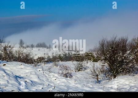 Wunderschöne Winterlandschaft mit schneebedeckten Bäumen. Blauer Himmel und strukturierter Schnee. Wintergeschichte. Stockfoto