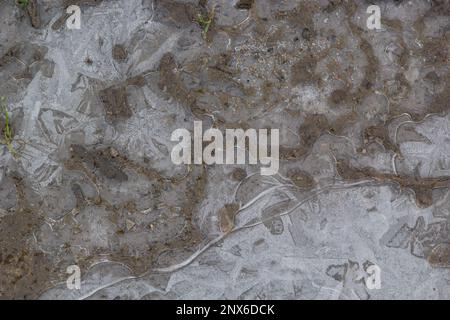 Wunderbar gefrorenes Wasser in einer Pfütze. Luftblasen im Eis, gefrorener Schlamm. Stockfoto