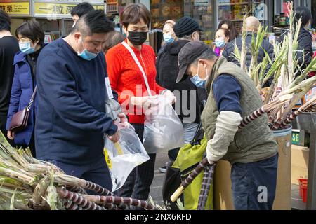 Ein chinesisches amerikanisches Paar kauft frisches Zuckerrohr, das wahrscheinlich in ein süßes Getränk gepresst wird. In Chinatown, Flushing, Queens, New York. Stockfoto