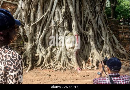 Touristen und Buddha besuchen banyan Tree Roots im Wat Mahathat Tempel in Ayutthaya, Thailand Stockfoto