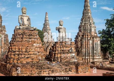 Wat Chaiwatthanaram, Ayutthaya, Thailand Stockfoto