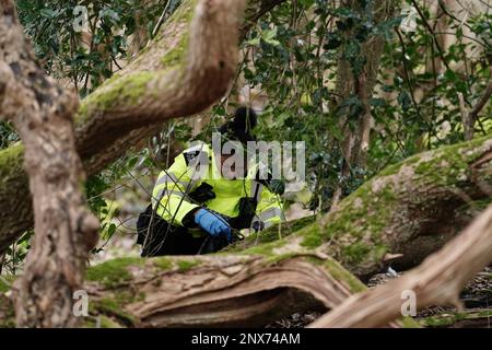 Ein Polizist im Wald im Wild Park Naturschutzgebiet, nahe Moulsecoomb, Brighton, wo die dringende Suche weiterhin das vermisste Baby von Constance Marten und Mark Gordon findet. Das Paar wurde wegen grober Fahrlässigkeit am Dienstag verhaftet, nachdem es am Montag in Brighton festgenommen wurde, nachdem es mehrere Wochen der Polizei aus dem Weg gegangen war, aber das Baby war nicht bei ihnen. Bilddatum: Mittwoch, 1. März 2023. Stockfoto