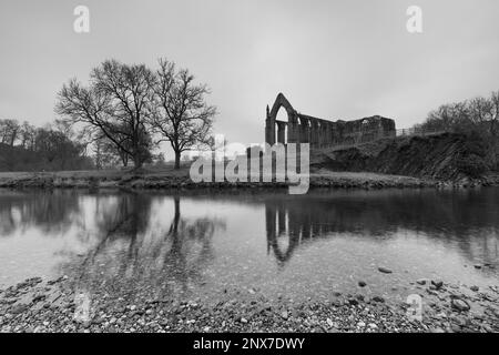 Die Ruine der Priory in Bolton Abbey ist eine der beliebtesten Touristenattraktionen im Yorkshire Dales National Park, North Yorkshire, Großbritannien Stockfoto