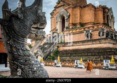 Naga und alte Chedi oder Pagode aus Backstein im Wat Chedi Luang Tempel, Chiang Mai, Thailand Stockfoto