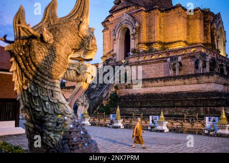 Naga und alte Chedi oder Pagode aus Backstein im Wat Chedi Luang Tempel, Chiang Mai, Thailand Stockfoto