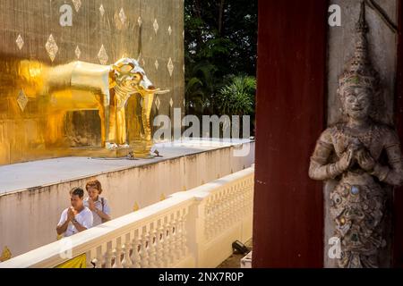 Gläubige beten, Goldchedi, im Wat Phra Singh Tempel, Chiang Mai, Thailand Stockfoto
