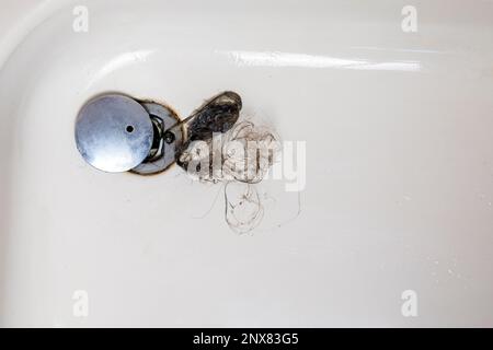 Der Duschabfluss ist mit Haaren verstopft, Haarausfall in einem Badezimmer nach dem Waschen der Haare in der Dusche, Reinigung des Badezimmers und Entfernen des Haares Draufsicht Stockfoto