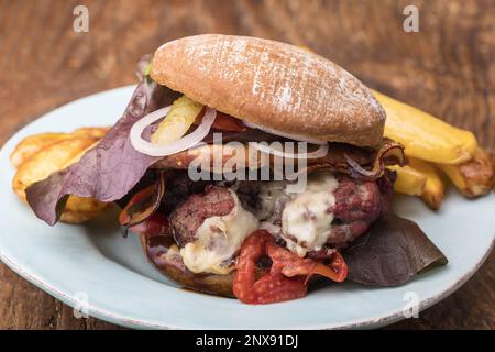 Pulled Pork Burger Mit Pommes Frites Stockfoto