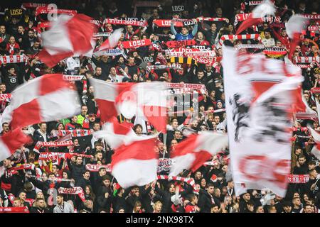 Fans von Lille während des Fußballspiels der französischen Meisterschaft Ligue 1 zwischen LOSC Lille und RC Straßburg am 12. Februar 2023 im Stadion Pierre Mauroy in Villeneuve-d'Ascq bei Lille, Frankreich - Photo Matthieu Mirville / DPPI Stockfoto