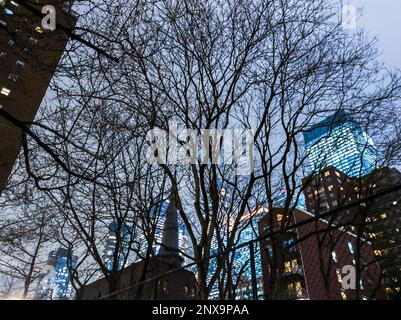 Hudson Yards Entwicklung durch Bäume gesehen, in New York am Mittwoch, den 22. Februar 2023, 2023. (© Richard B. Levine) Stockfoto