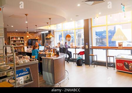 Inneneinrichtung des Cafés in der Youth Hostel Association YHA St Pancras an der Euston Road in London, England, UK, 2023 KATHY DEWITT Stockfoto