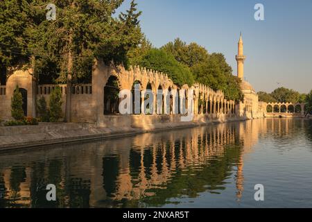 Balikligol (Fischsee) und Rizvaniye Moschee wunderschöne Aussicht in Sanliurfa Stadt der Türkei. Sanliurfa, Türkei - 19. Oktober 2015. Stockfoto